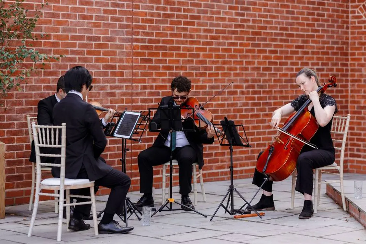 Lumos String Quartet photo 8