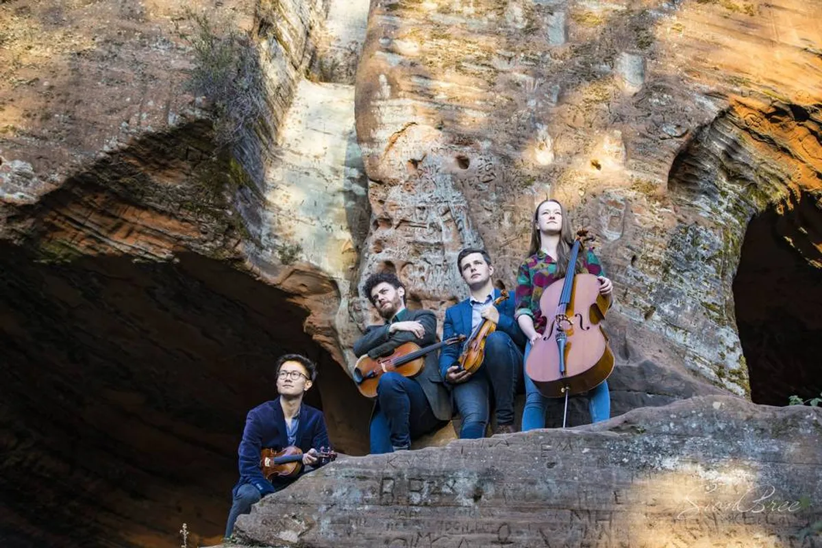 Lumos String Quartet photo 7