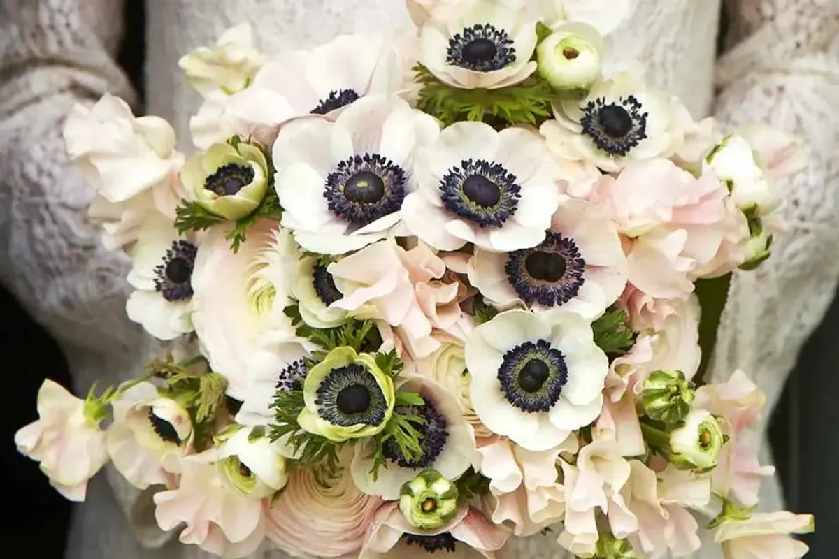 Jane Packer — florists in South West London, UK