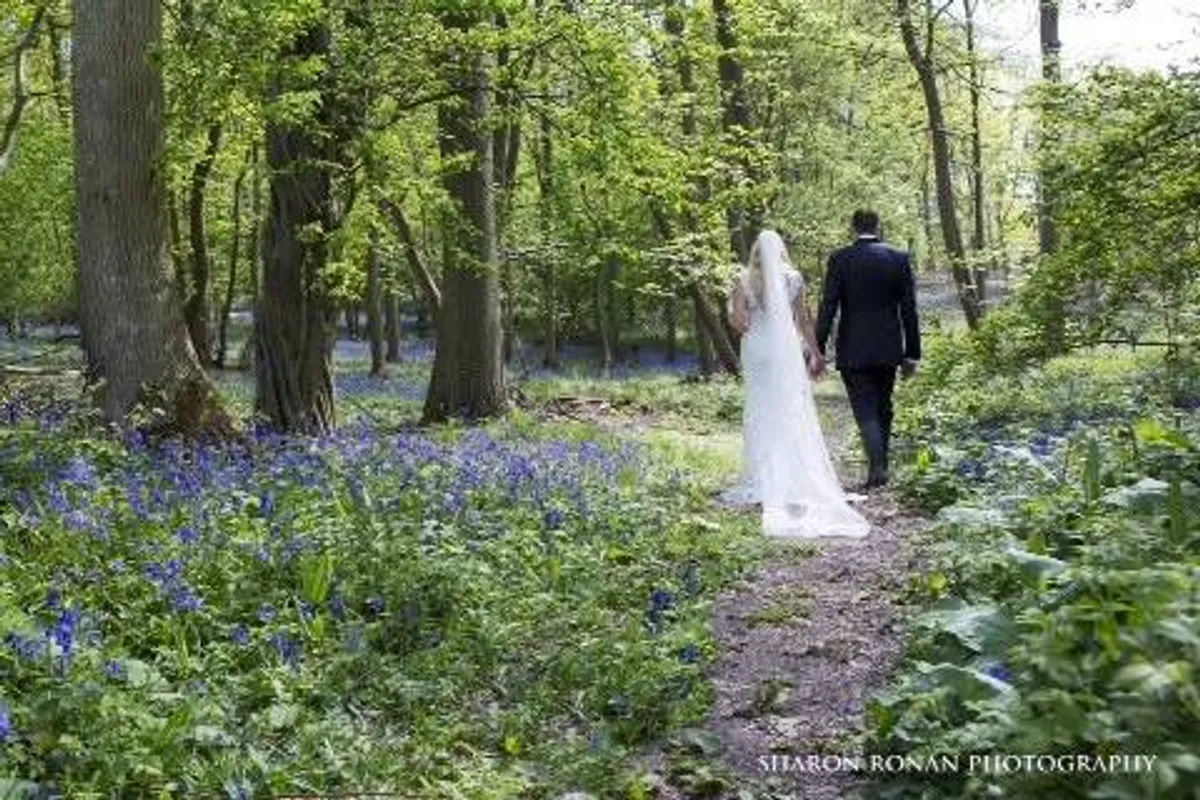 Ufton Court photo 6