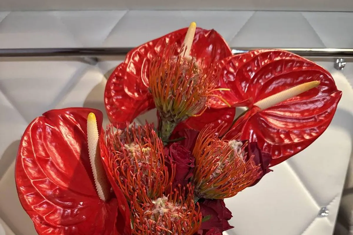 Lux Petals photo 4
