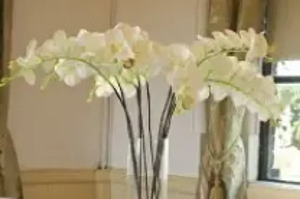 Decoris Weddings photo 4