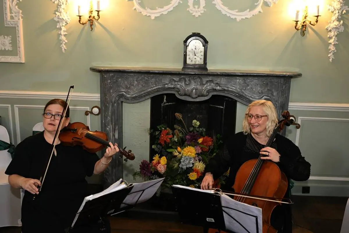 Sophistication Strings photo 4