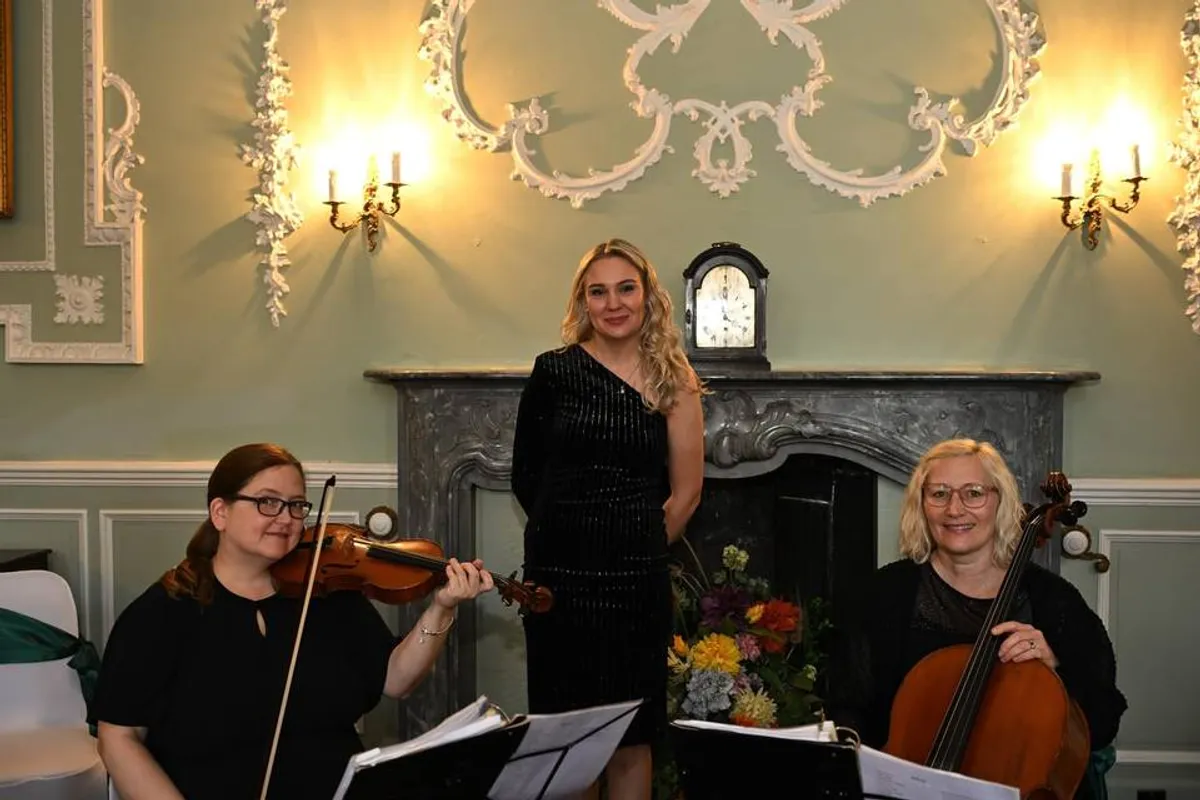 Sophistication Strings photo 1