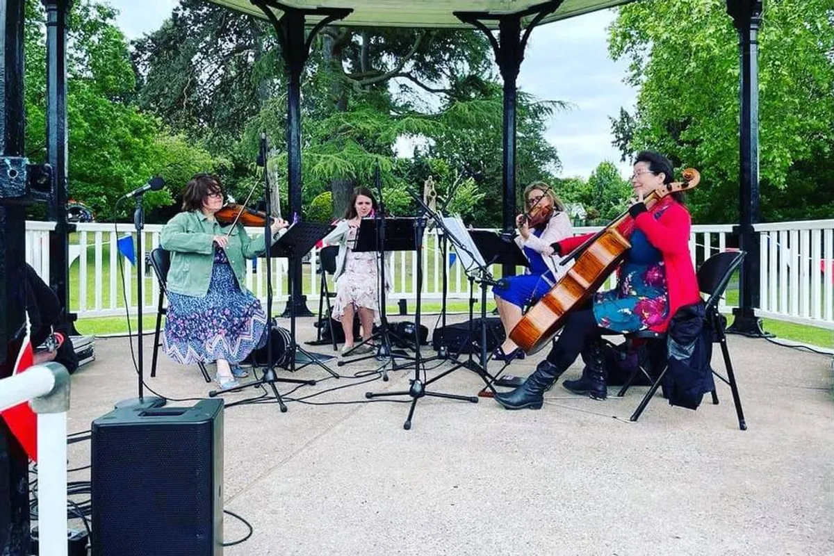 Sophistication Strings photo 9