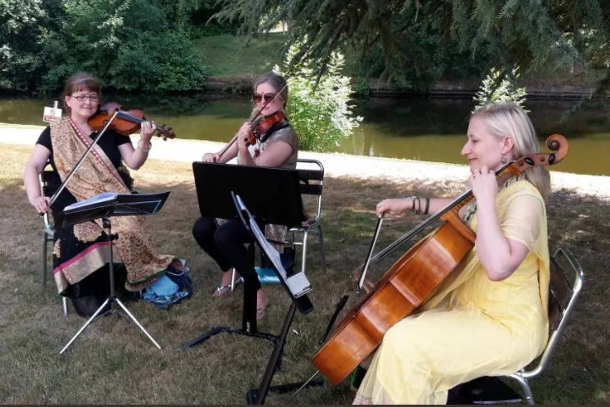 Sophistication Strings photo 5
