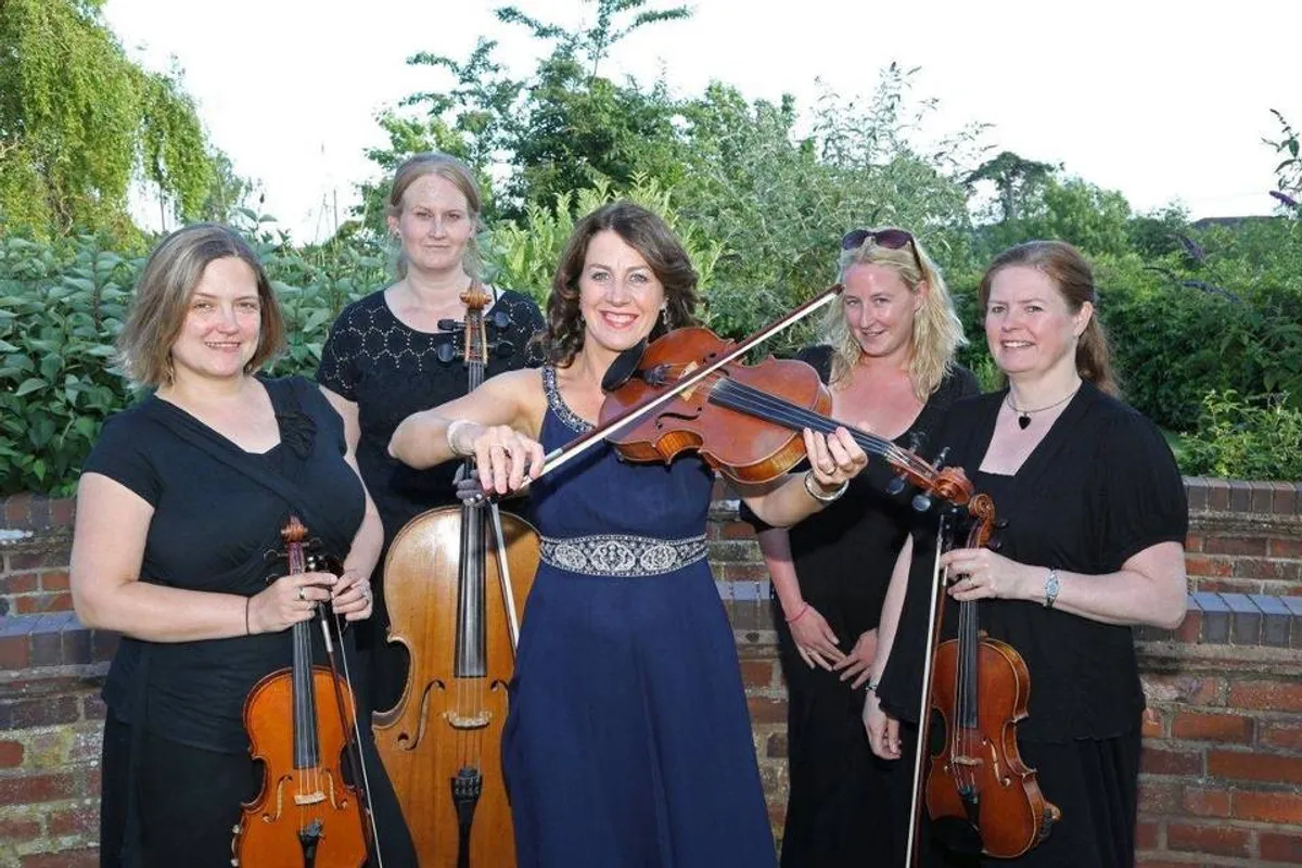 Sophistication Strings photo 8
