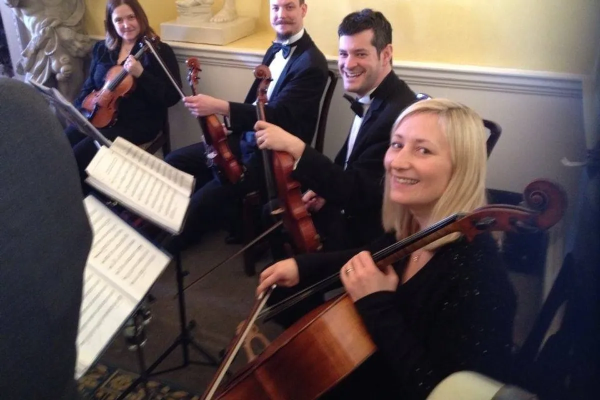 Sophistication Strings photo 2