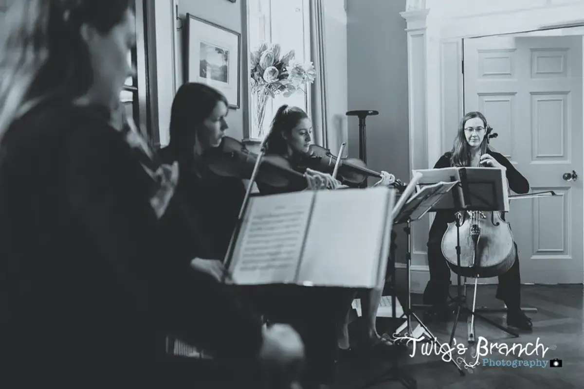 440 String Quartet — djs in West Midlands, UK