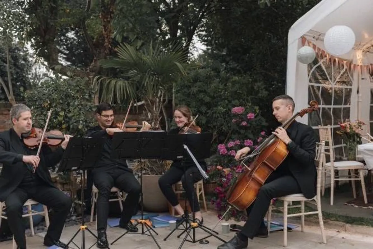 440 String Quartet photo 5