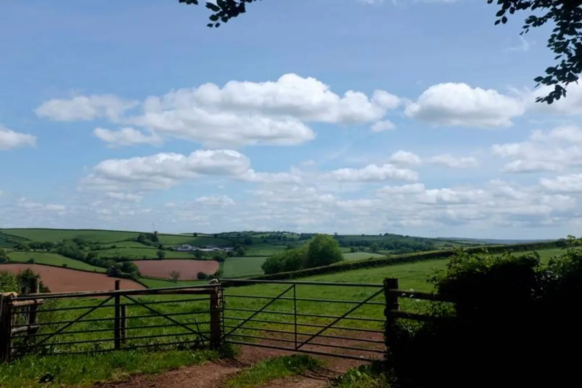 Middle Coombe Farm photo 9