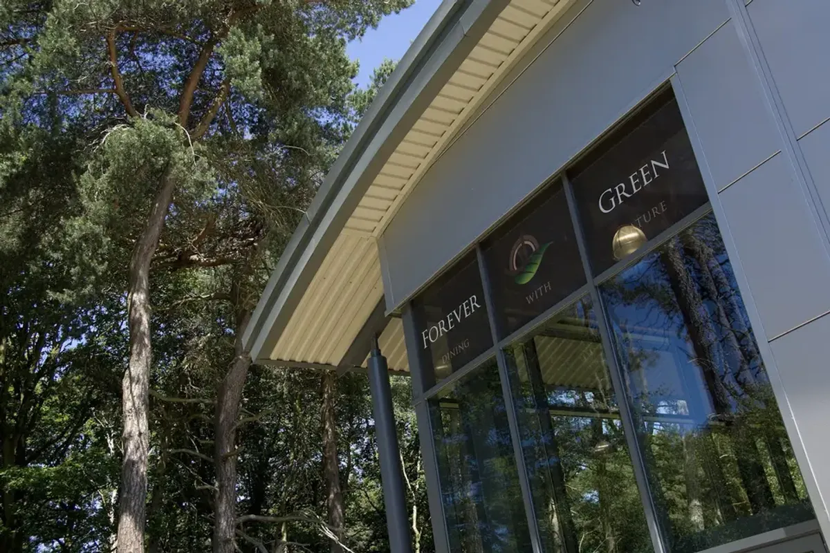 Forever Green photo 7