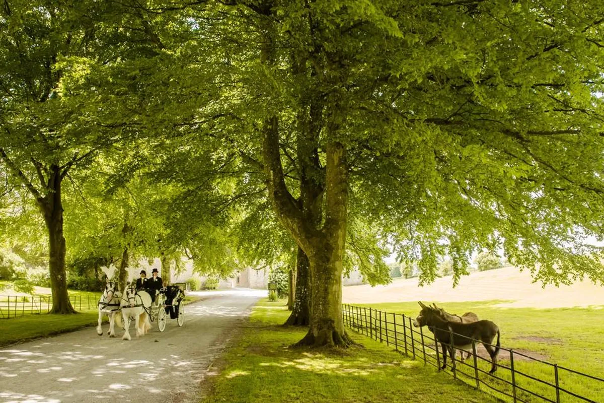 Clearwell Castle photo 7