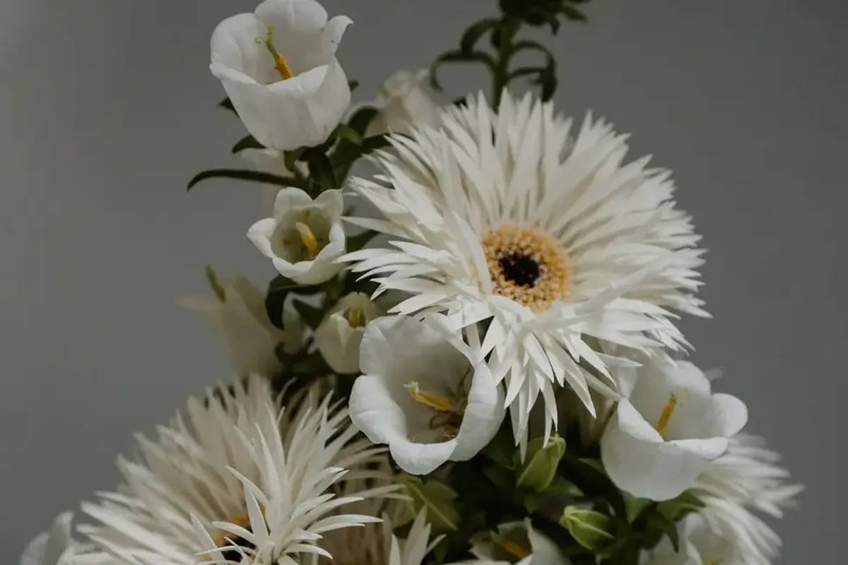 Harlequin Florals photo 4