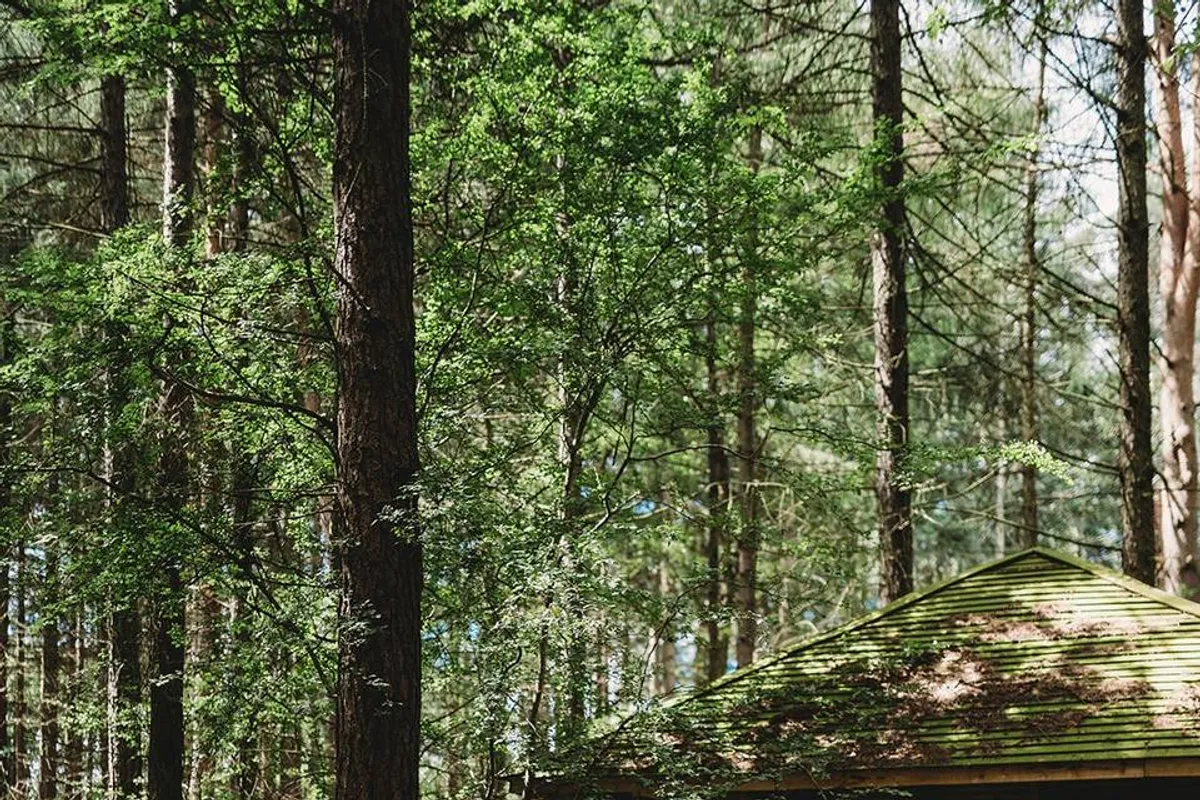 Camp Katur photo 6