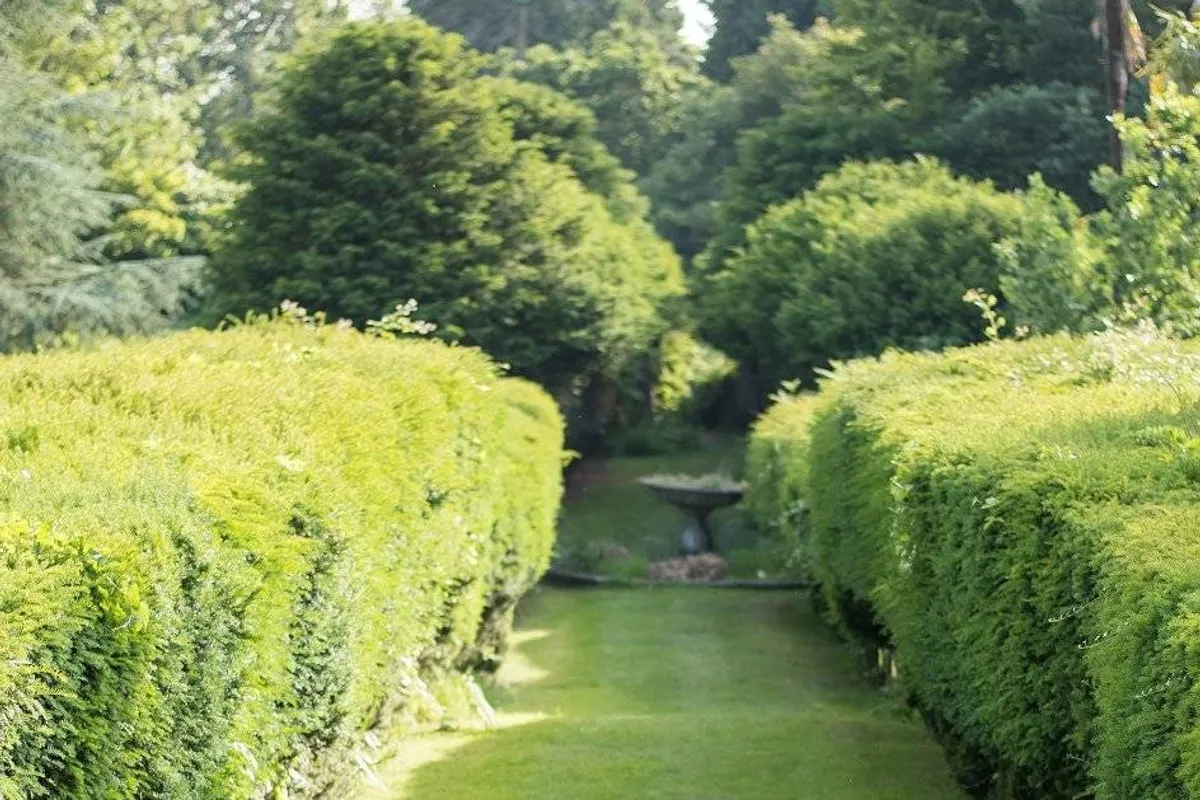 Chilworth Manor Hotel photo 9