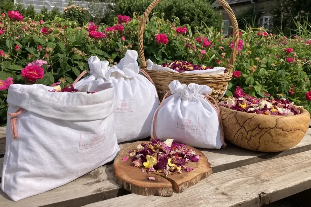Lesotho Rose — florists in Devon, UK