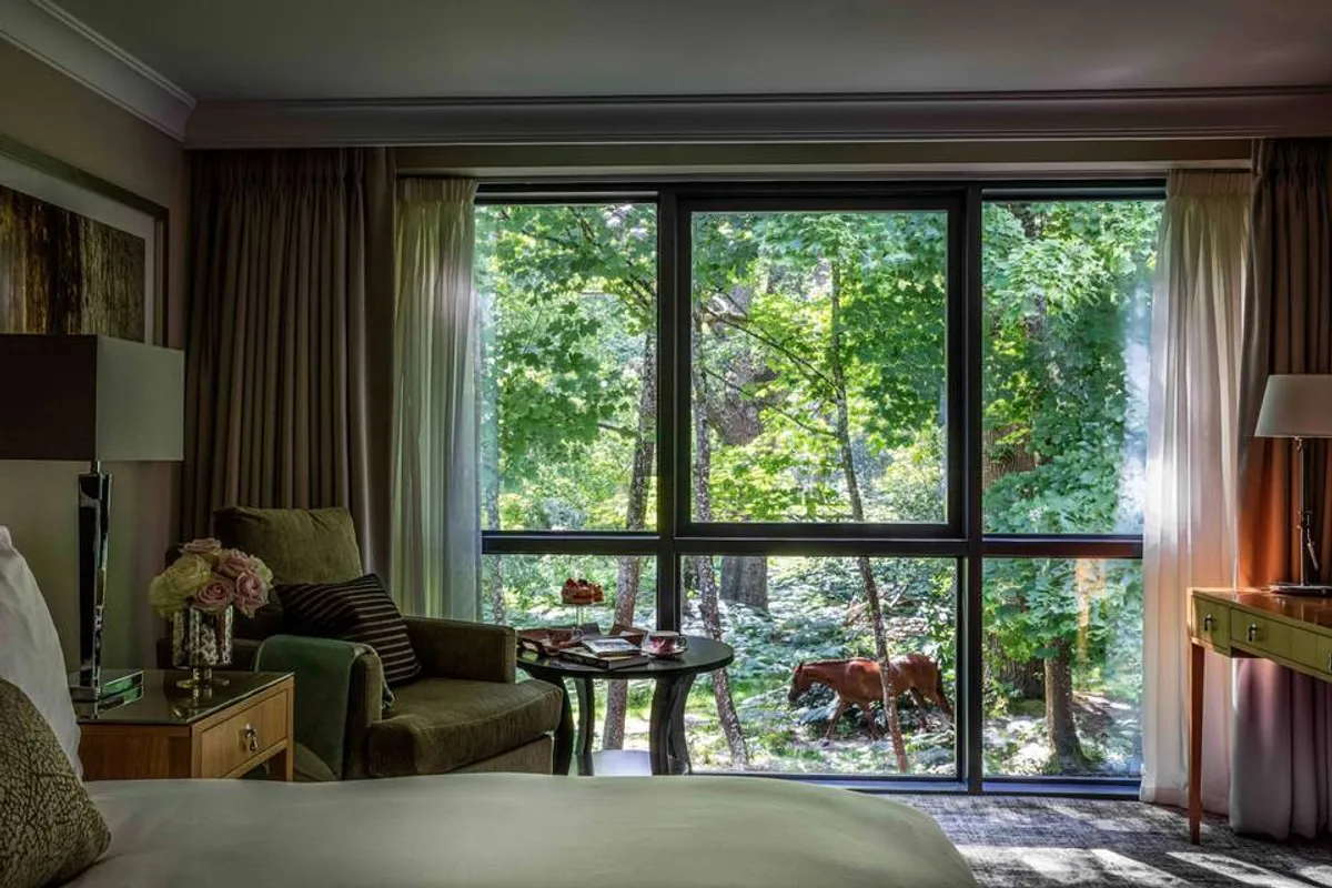 Rhinefield House Hotel photo 5