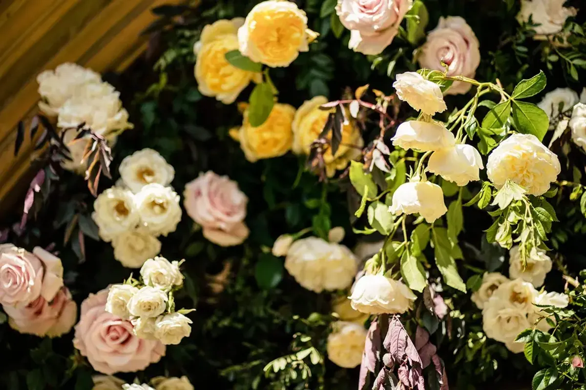 Lovette Flowers photo 4