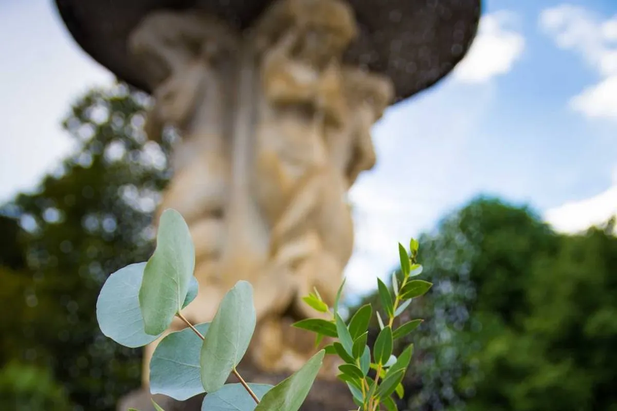 The Orangery photo 11