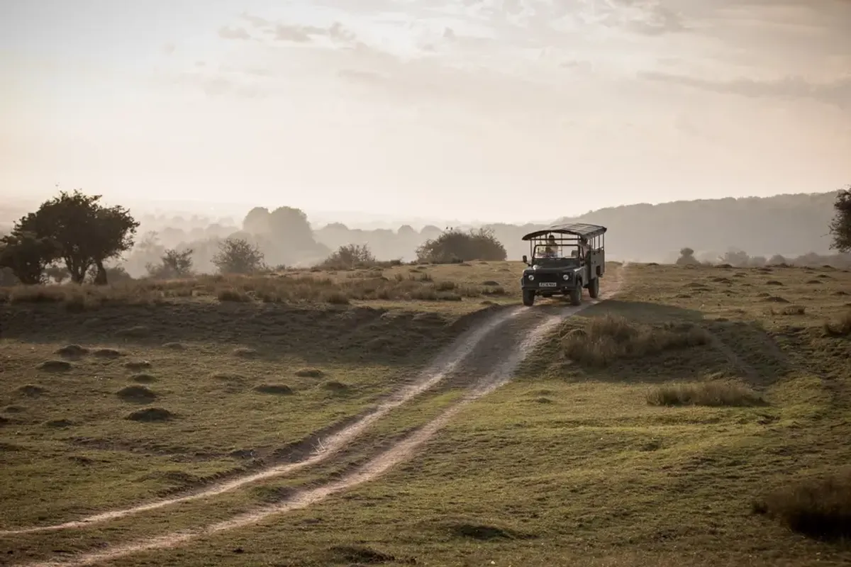 Port Lympne Hotel & Reserve photo 4