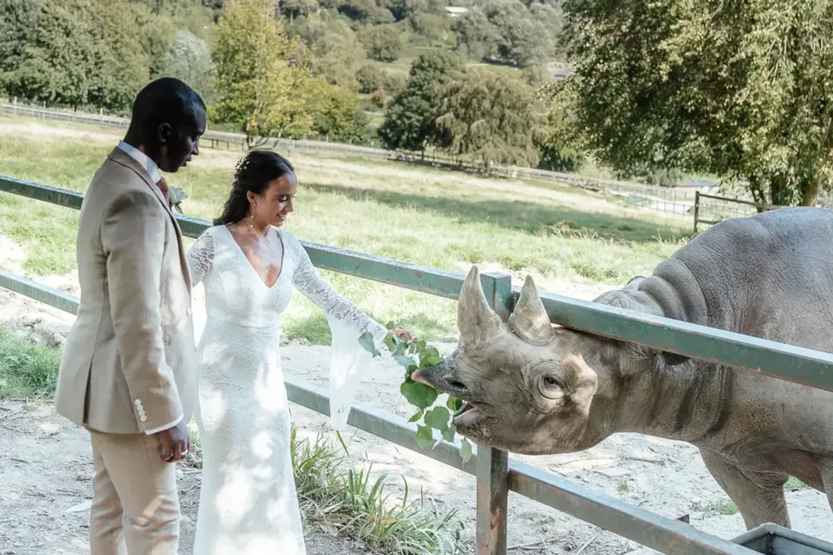 Port Lympne Hotel & Reserve photo 10