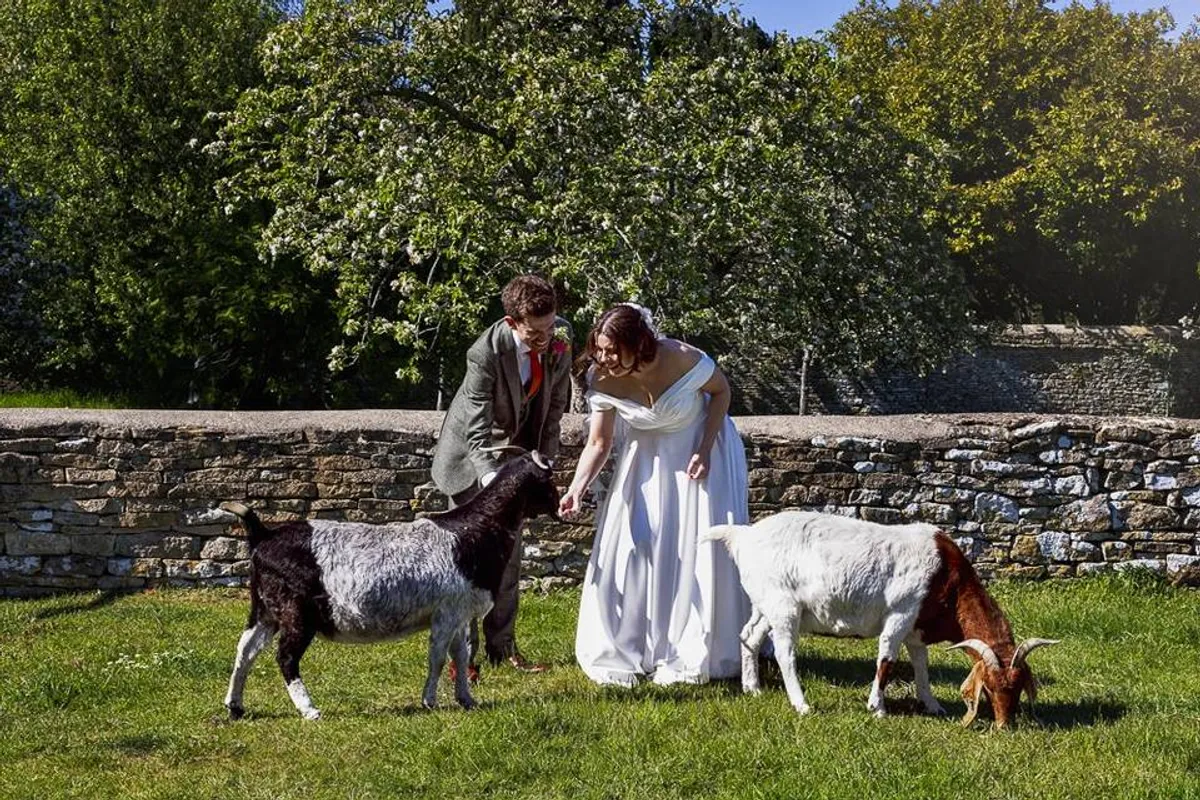 Cogges Manor Farm photo 3