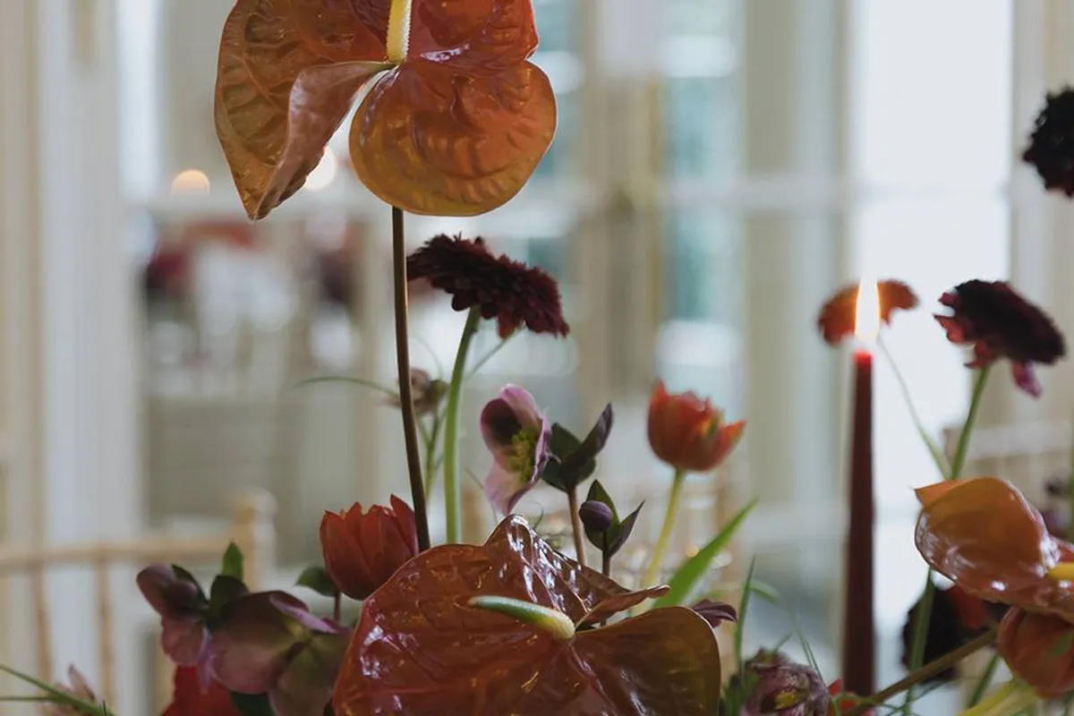 Into the Wild Florist photo 5
