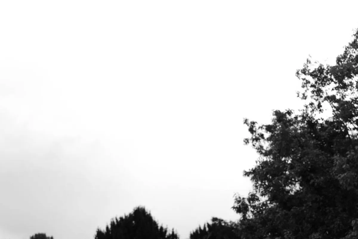 Chilston Park photo 11