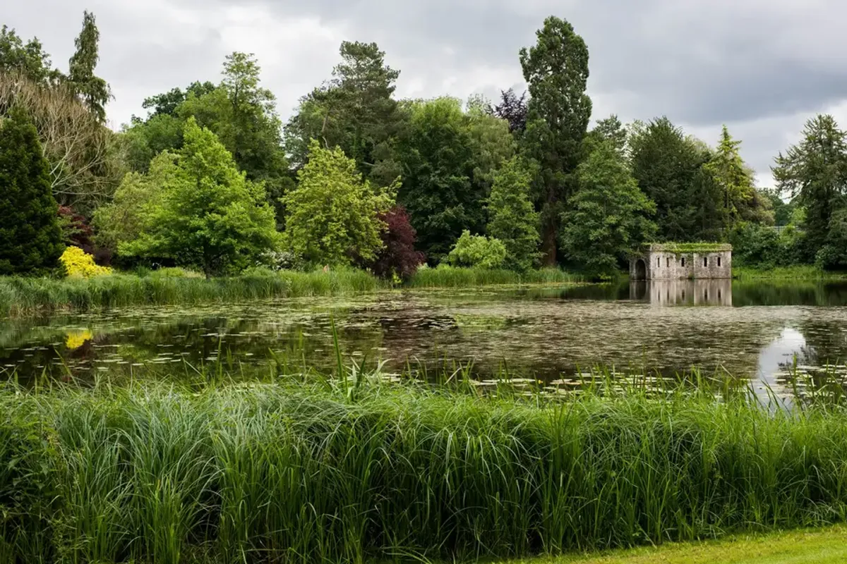The Orangery photo 1