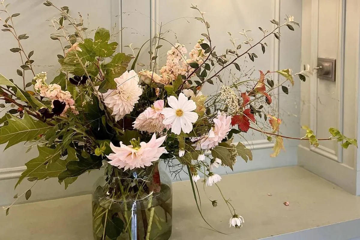 Floraphy photo 4