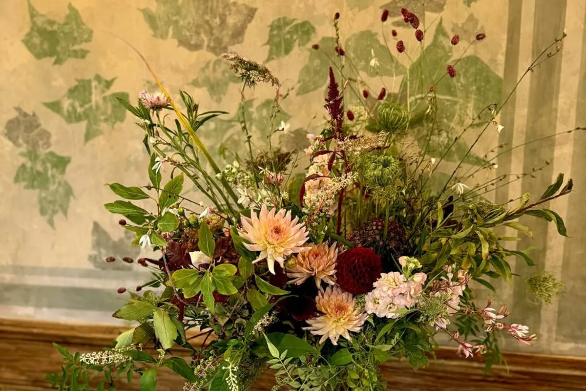 Floraphy photo 7