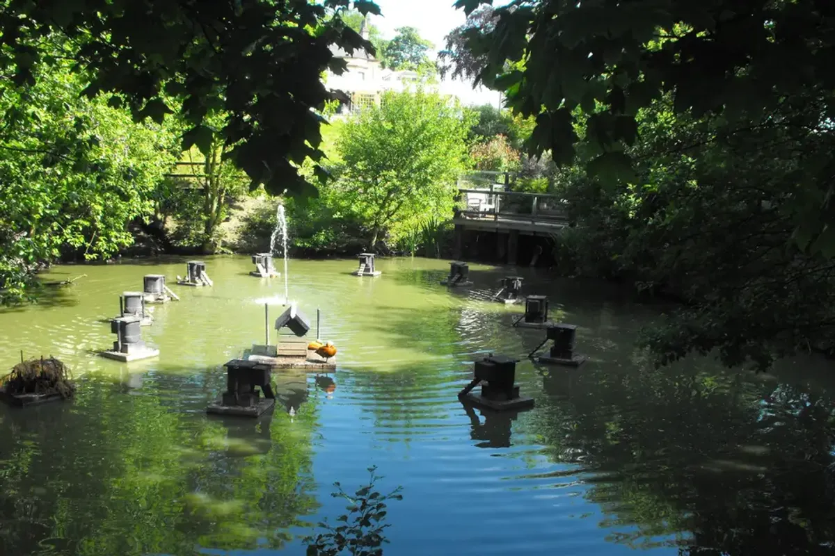 Gomersal Park Hotel & Dream Spa photo 5