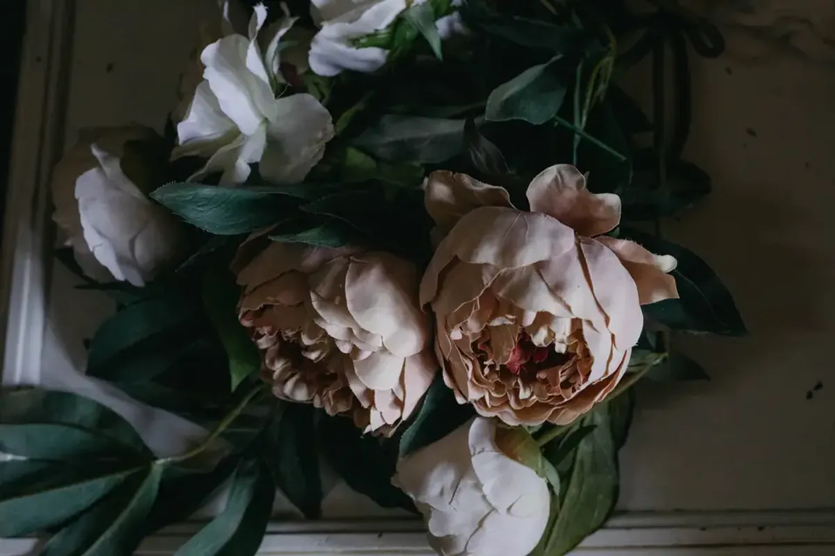 Secuencia Singular — videographers in West London, UK