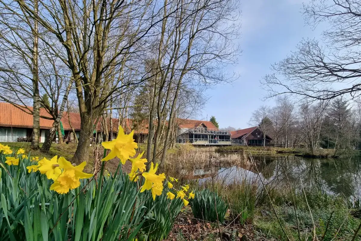Chevin Country Park Hotel & Spa photo 12