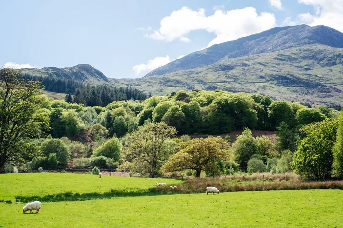 Ty Afon - River House photo 3