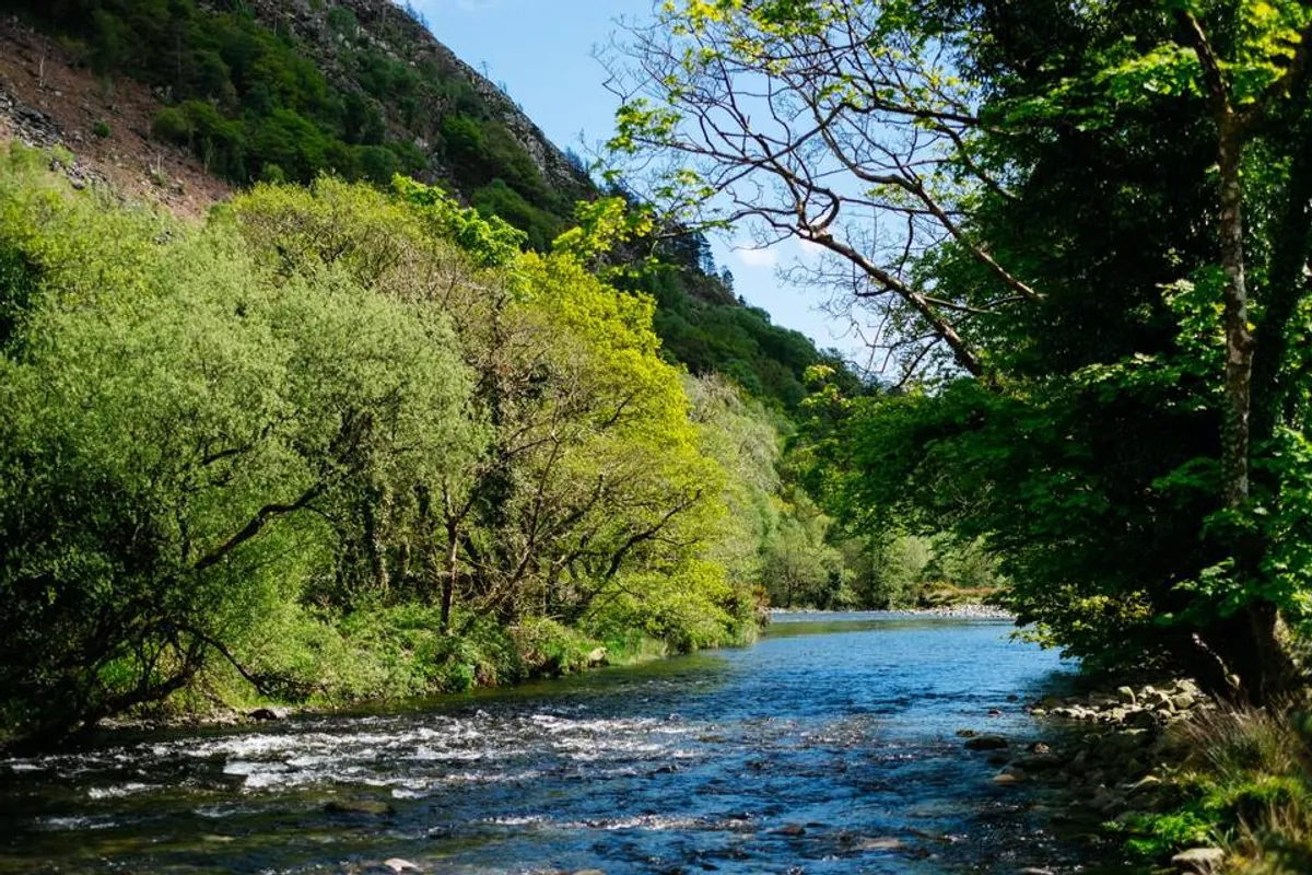 Ty Afon - River House photo 11