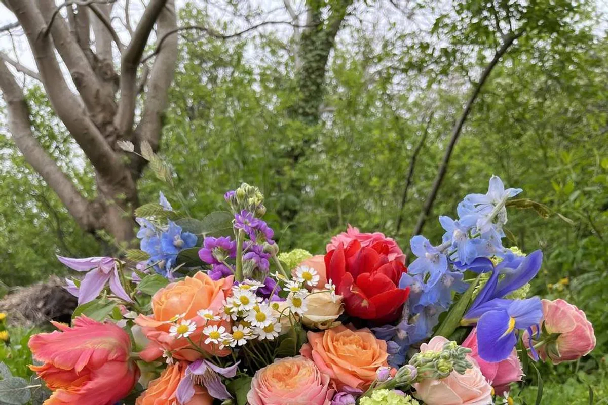 Teazle and Bear Floral Design photo 9