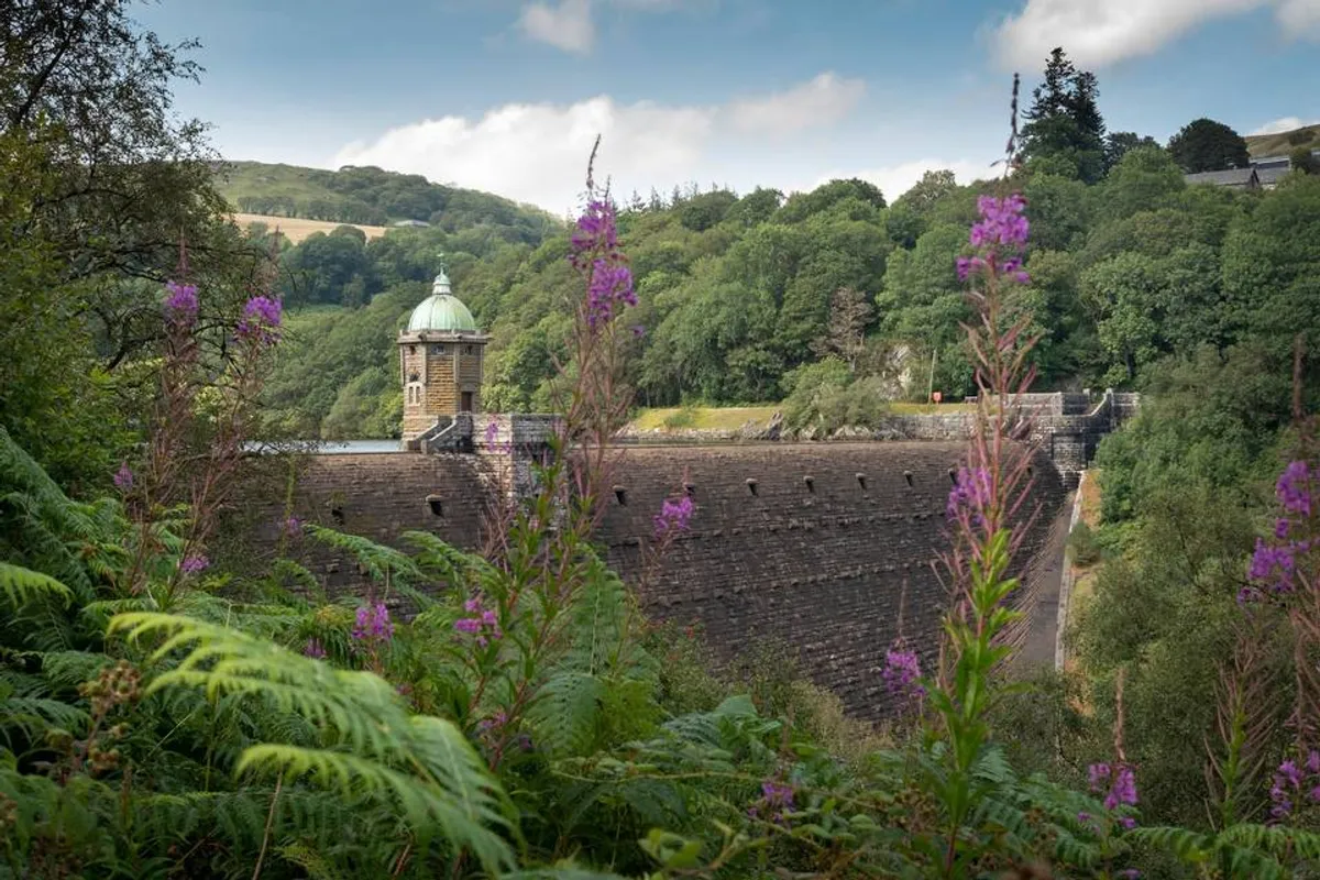 Elan Valley photo 10