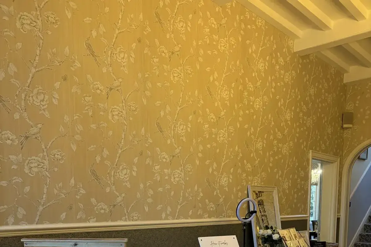 Tea Bear Illustrations photo 7