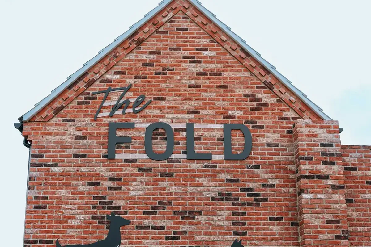 The Fold photo 11