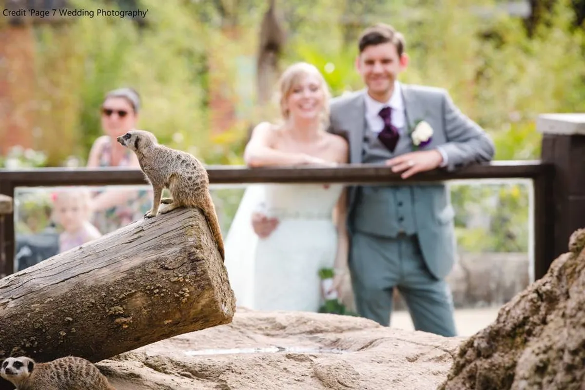 Twycross Zoo photo 6