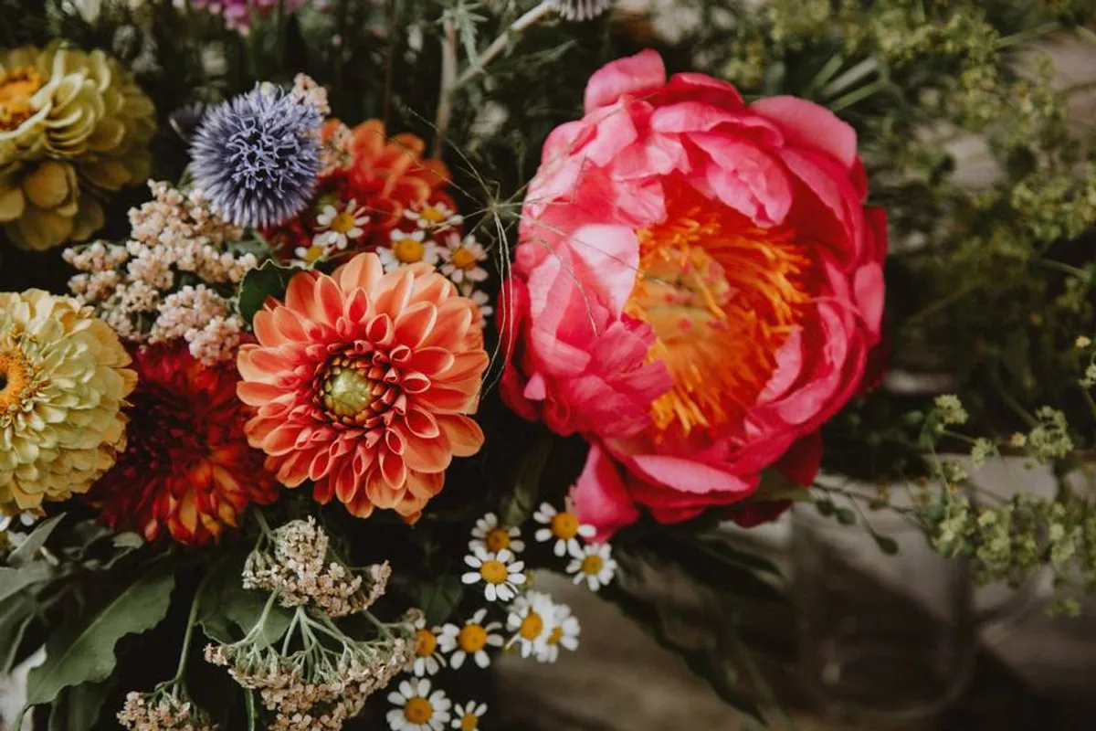 Sophie Allen Photography photo 9
