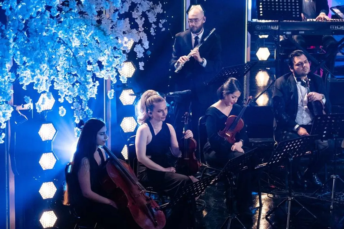 Solas Strings photo 8