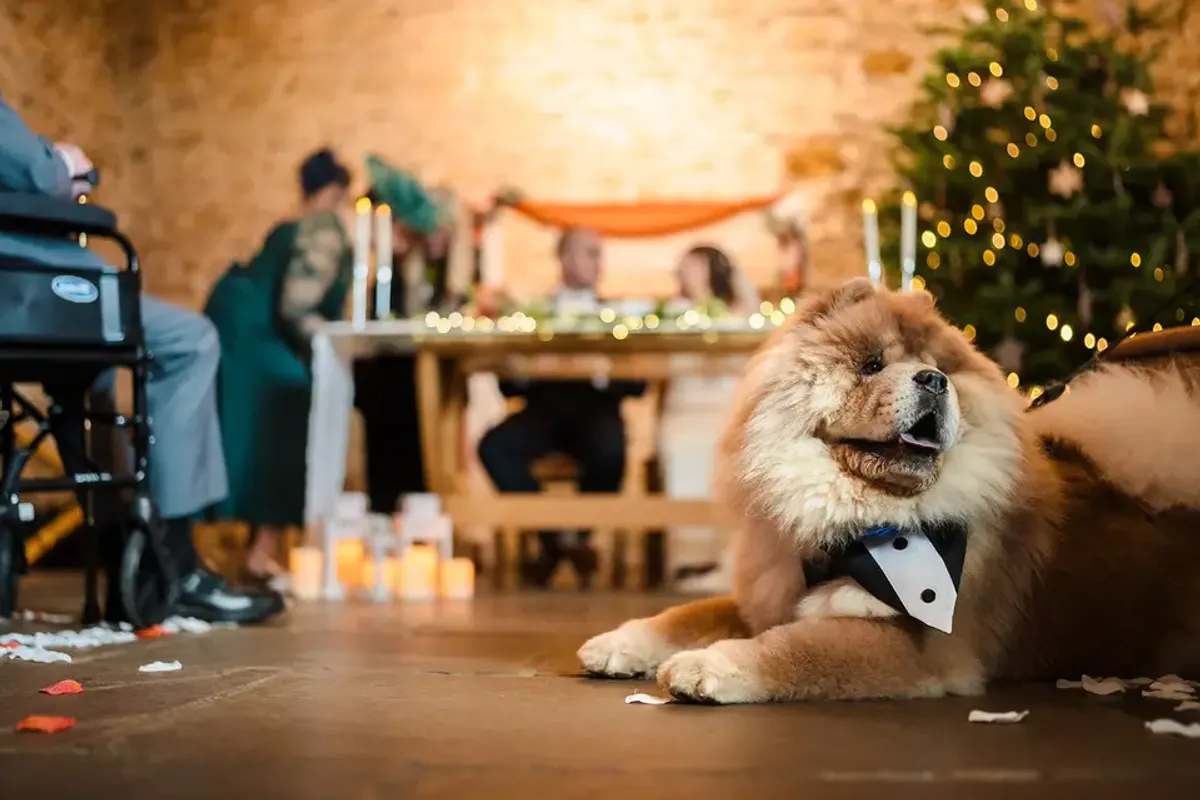 Dodford Manor - Barn Wedding Venue photo 8