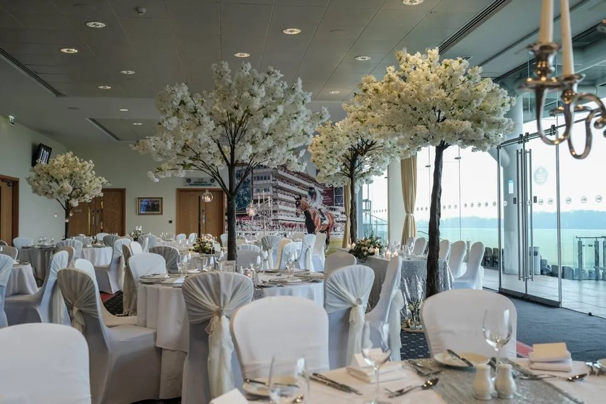 York Racecourse photo 3