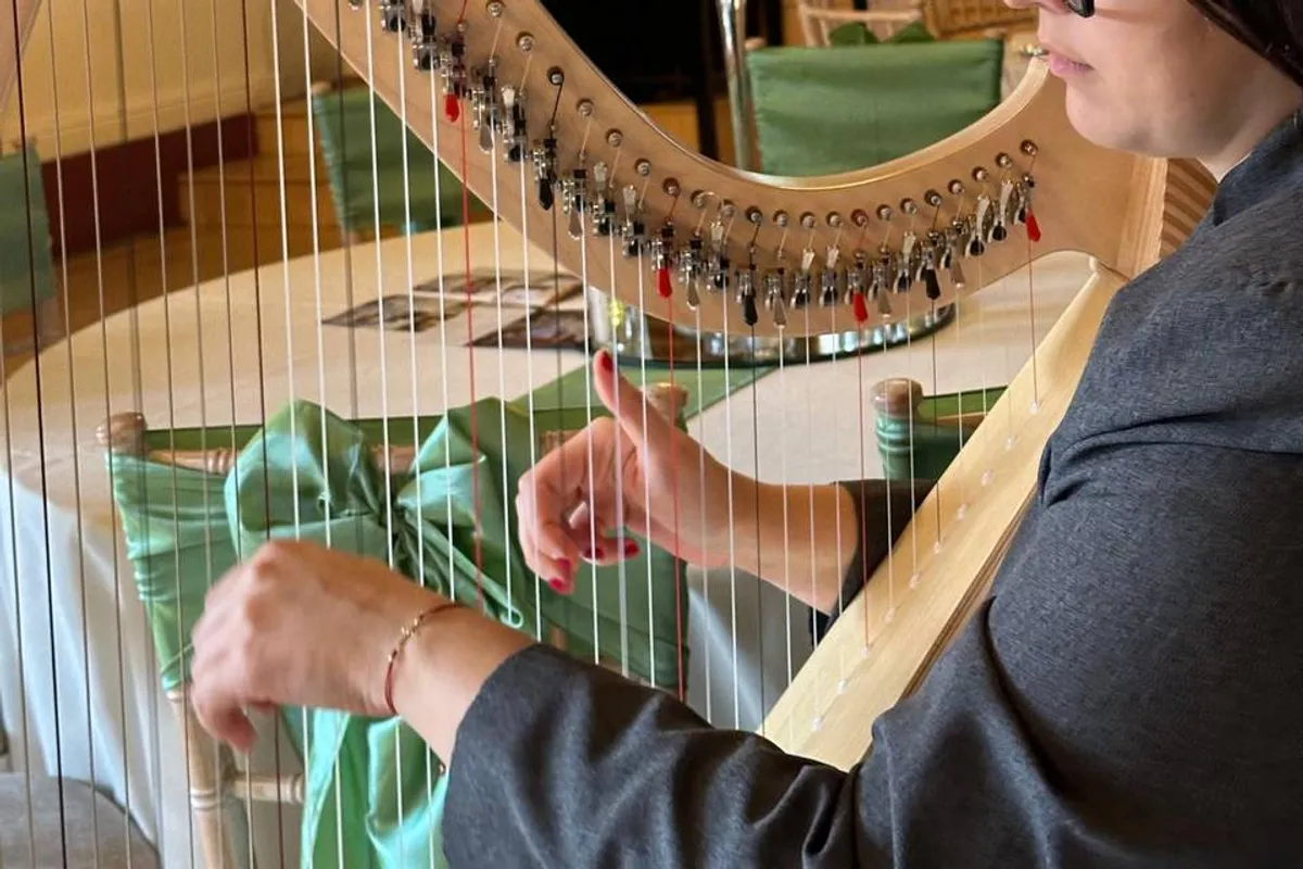 Hristina Harpist photo 5