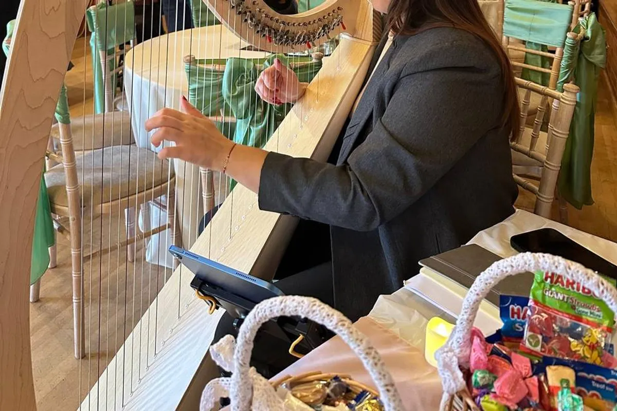 Hristina Harpist photo 7