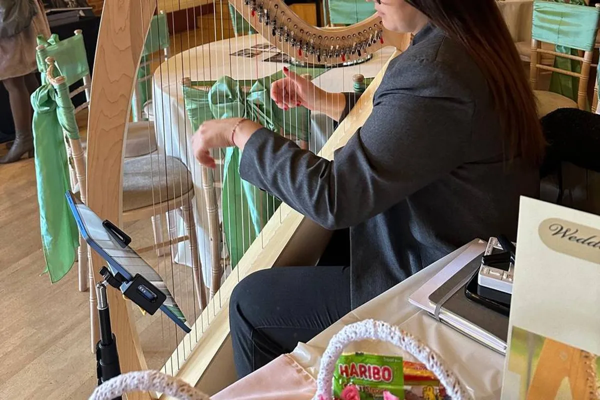 Hristina Harpist photo 4