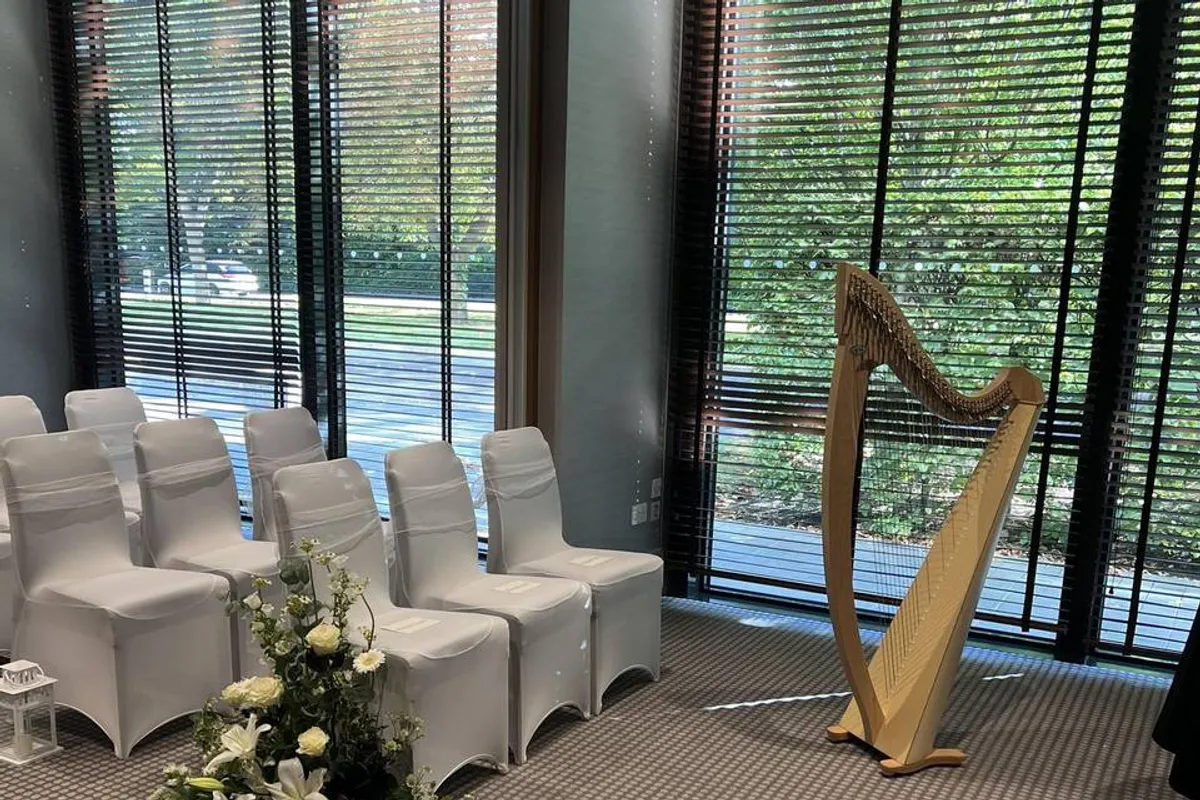 Hristina Harpist photo 8